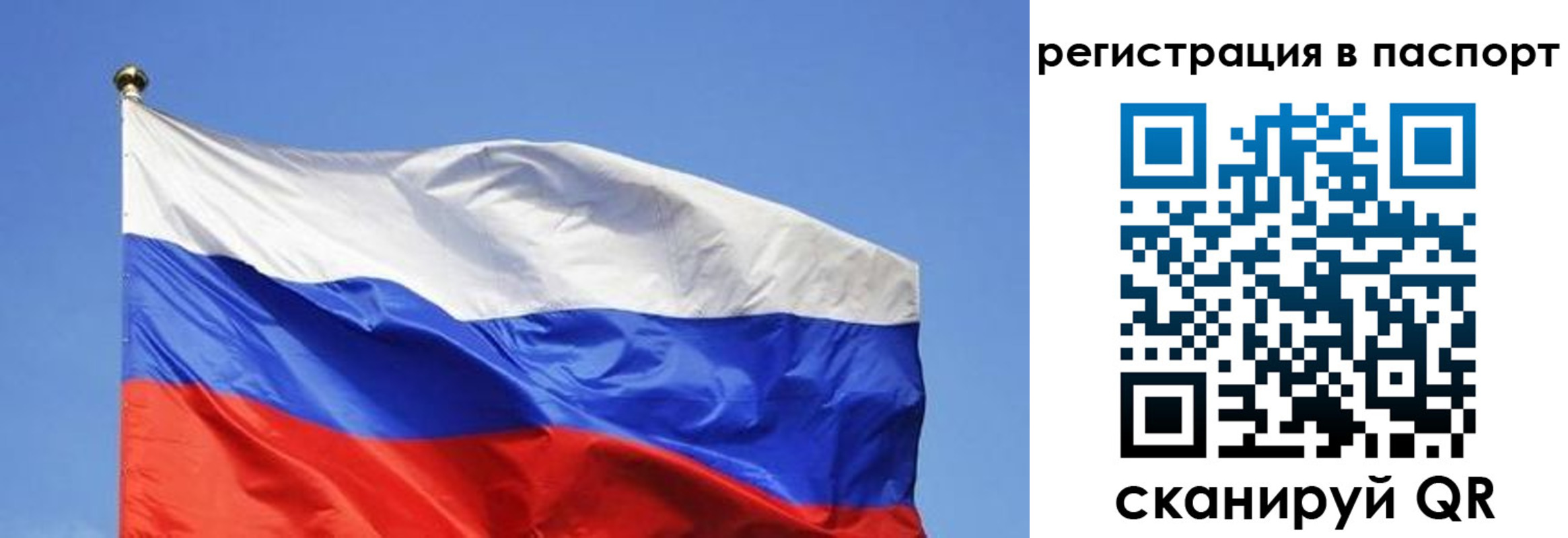 прописка в квартире в Рославле